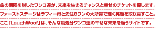 命の期限を脱したワンコ達が、未来を生きるチャンスと幸せのチケットを探します。 ファーストステージはラフィー母と先住８ワンの大所帯で輝く笑顔を取り戻すこと。 ここ「LaughWoof」は、そんな殺処分ワンコ達の幸せな未来を願うサイトです。